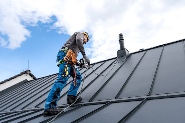 Best Roof Leak Repair  in Waverly, MN